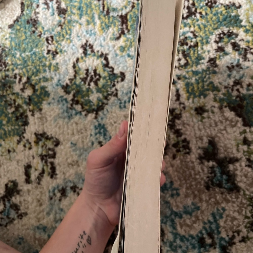 Book - mockingjay - Picture 4 of 4